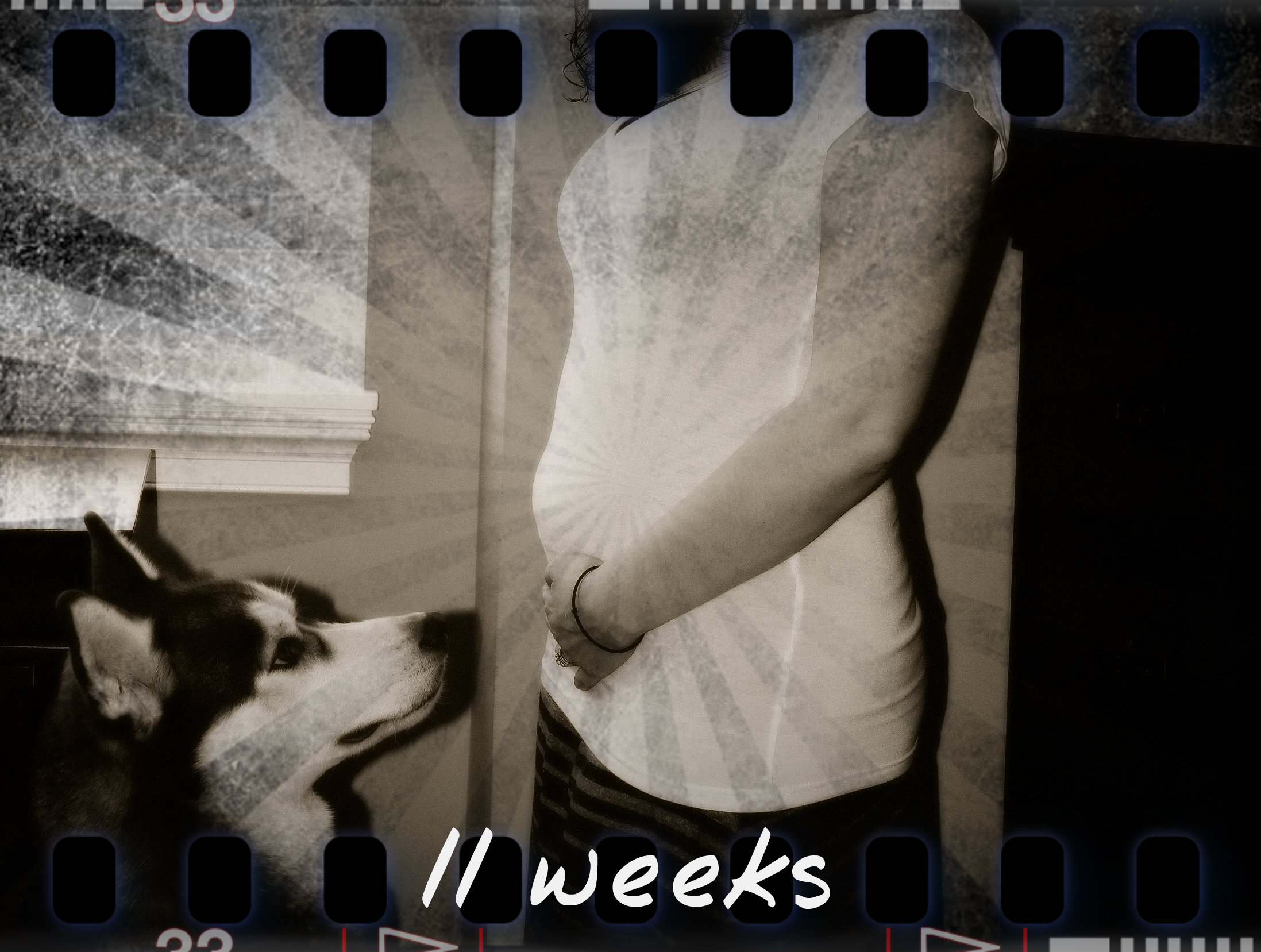11 weeks